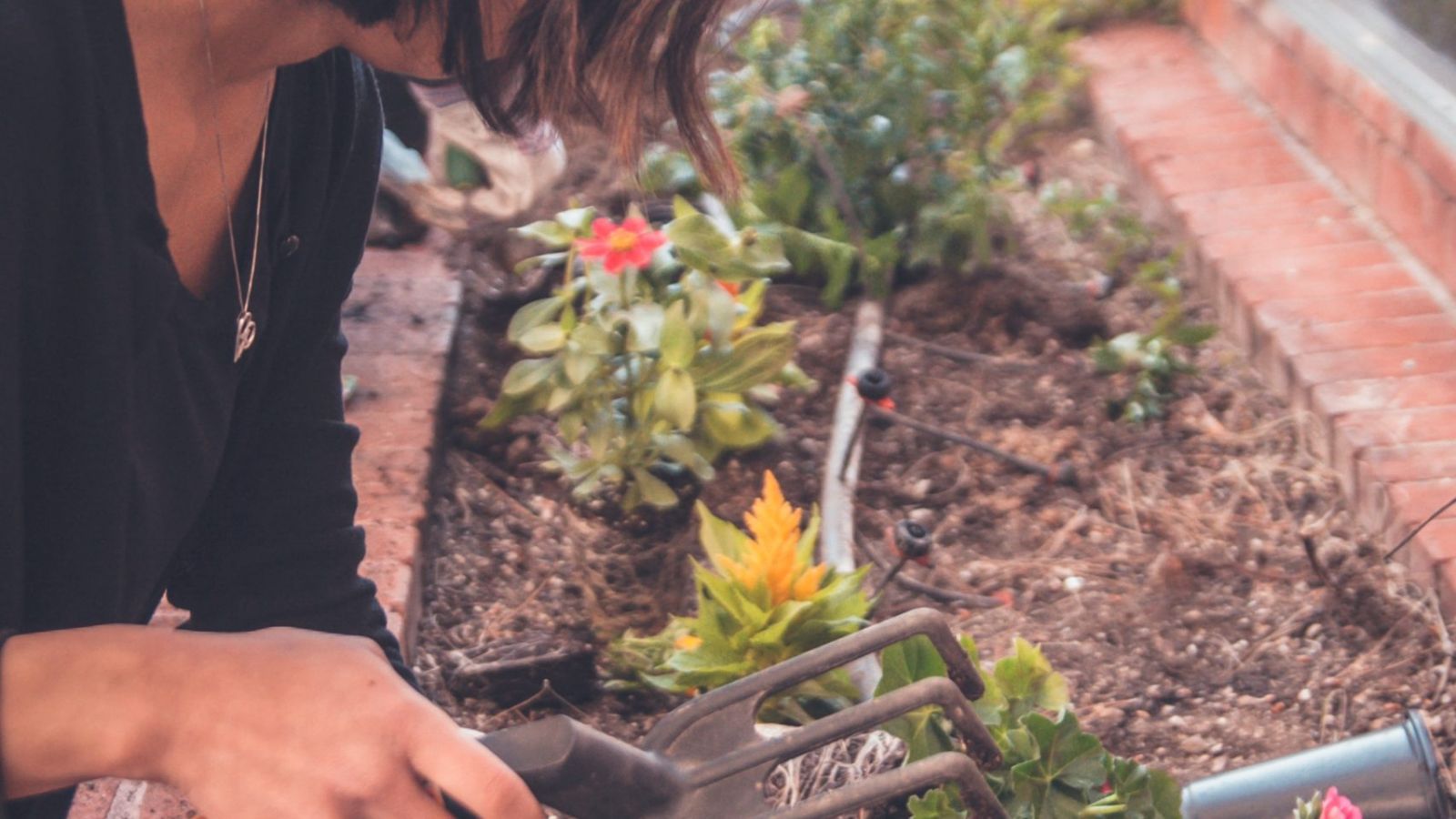 Community Garden